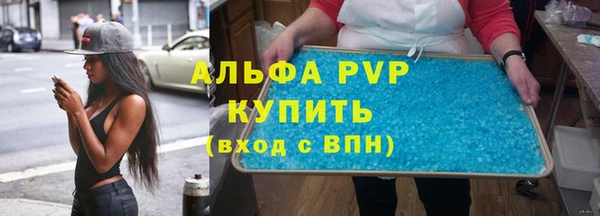 гашик Бородино