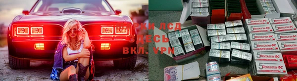 гашик Бородино