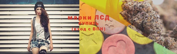 гашик Бородино