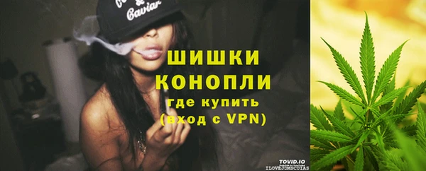 крисы Бронницы