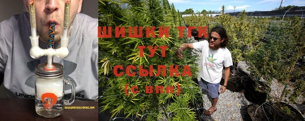 гашик Бородино