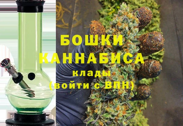 гашик Бородино