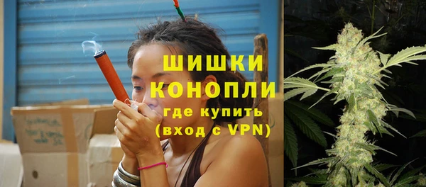 крисы Бронницы