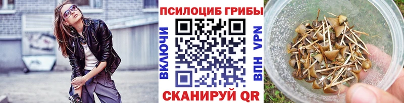 где купить наркоту Микунь Галлюциногенные грибы ЛСД